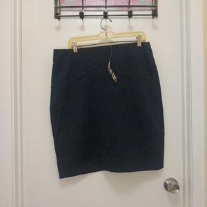 ALFANI SKIRT
